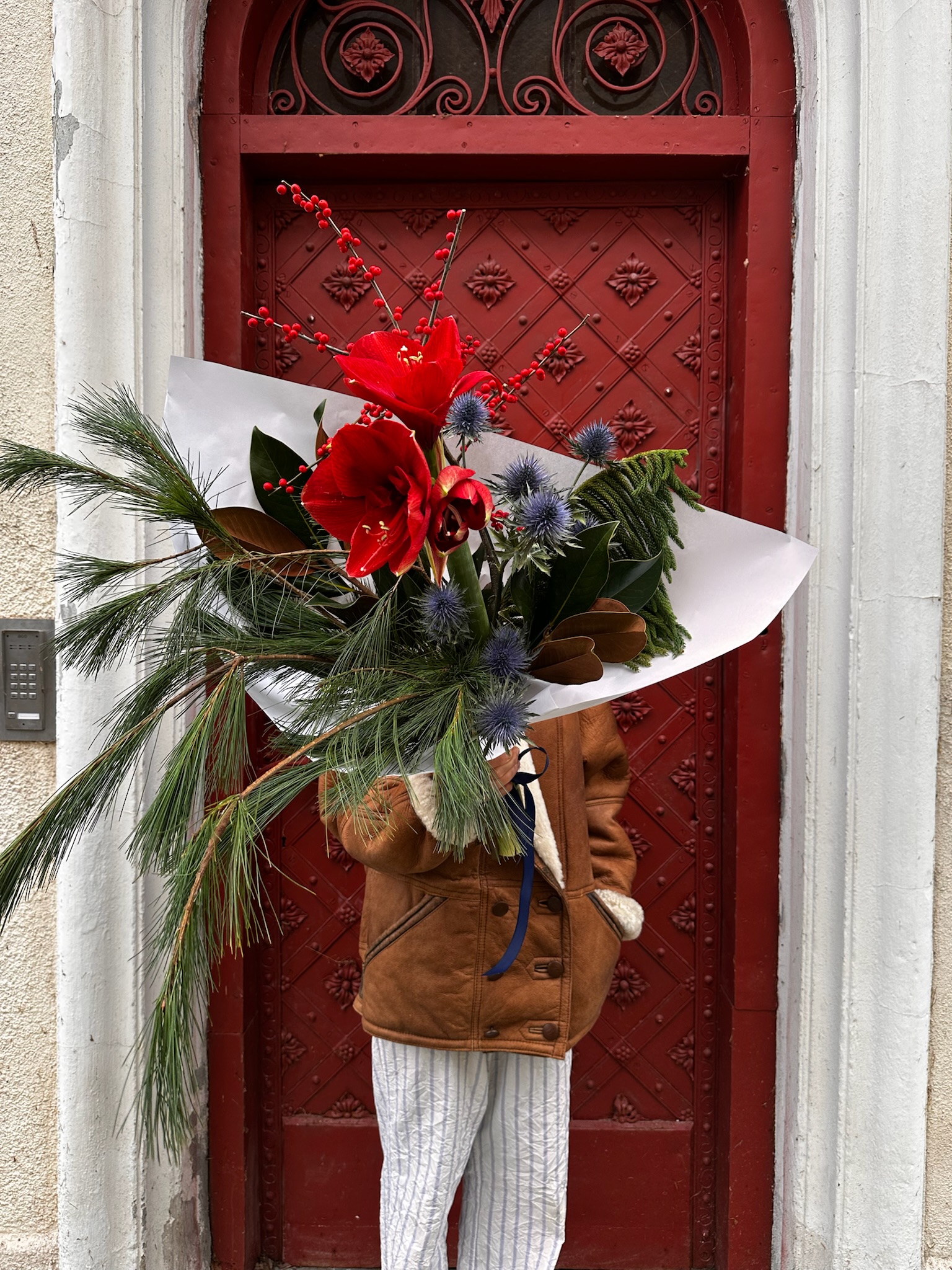 Klasyk z amarylisem - obrazek 5