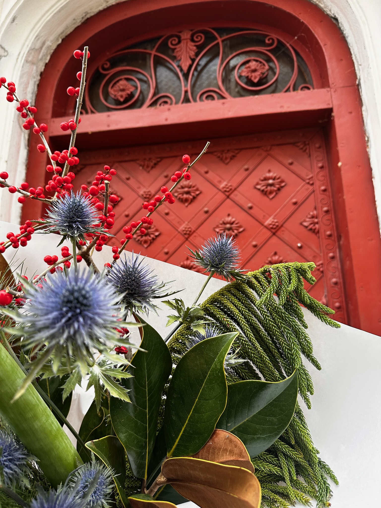 Klasyk z amarylisem - obrazek 3