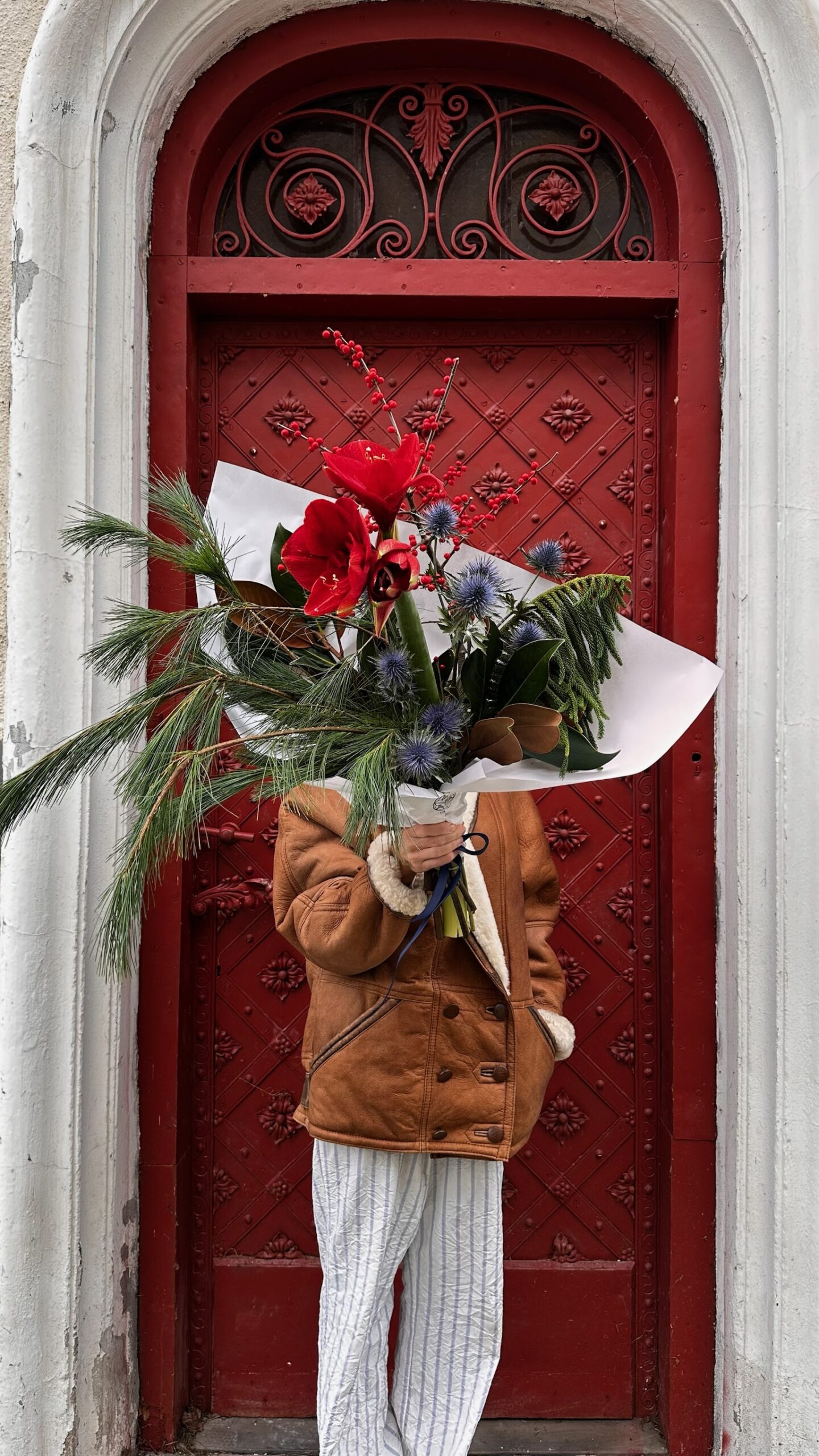 Klasyk z amarylisem - obrazek 2