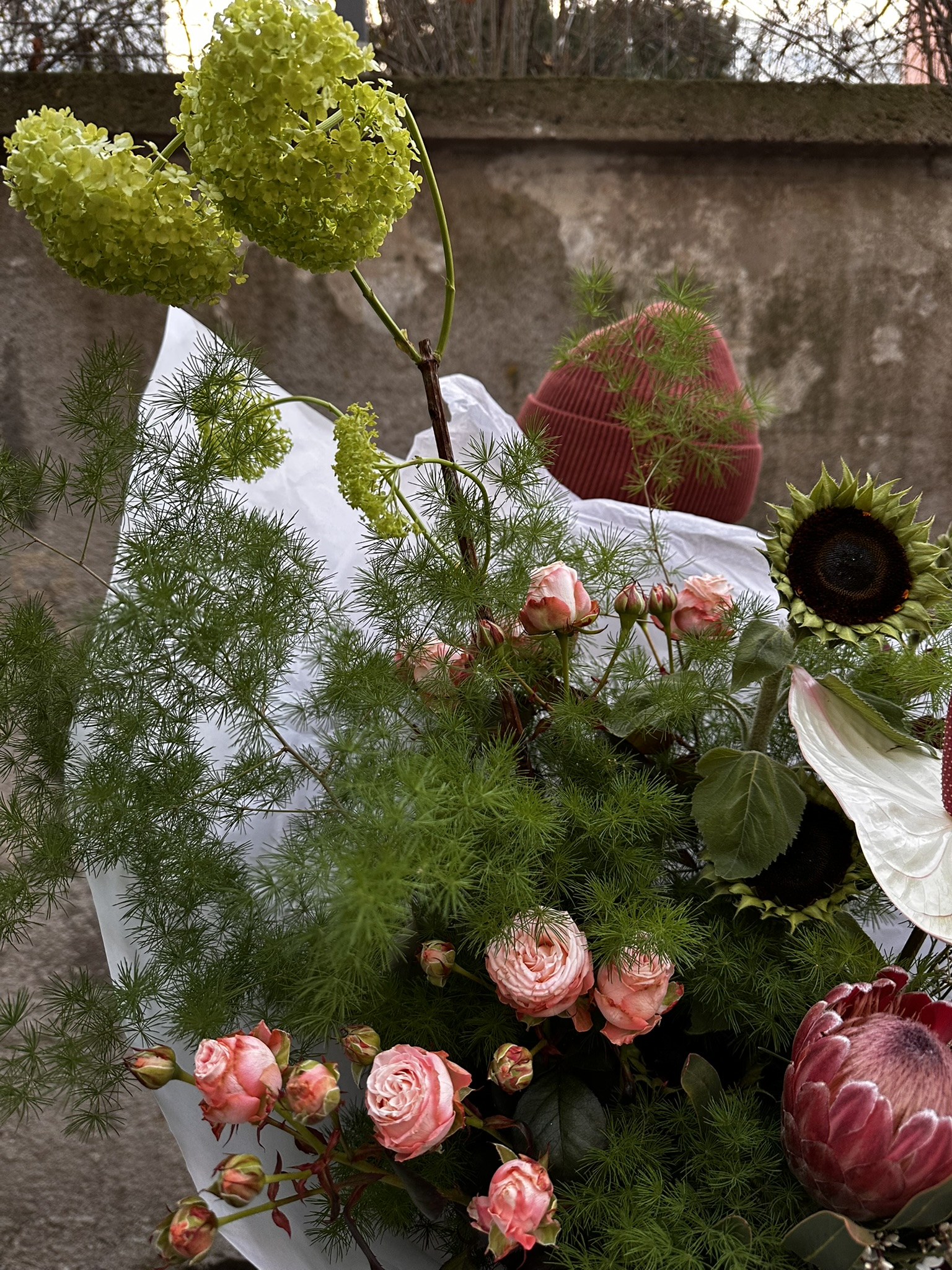 Biały Łabędź - obrazek 5