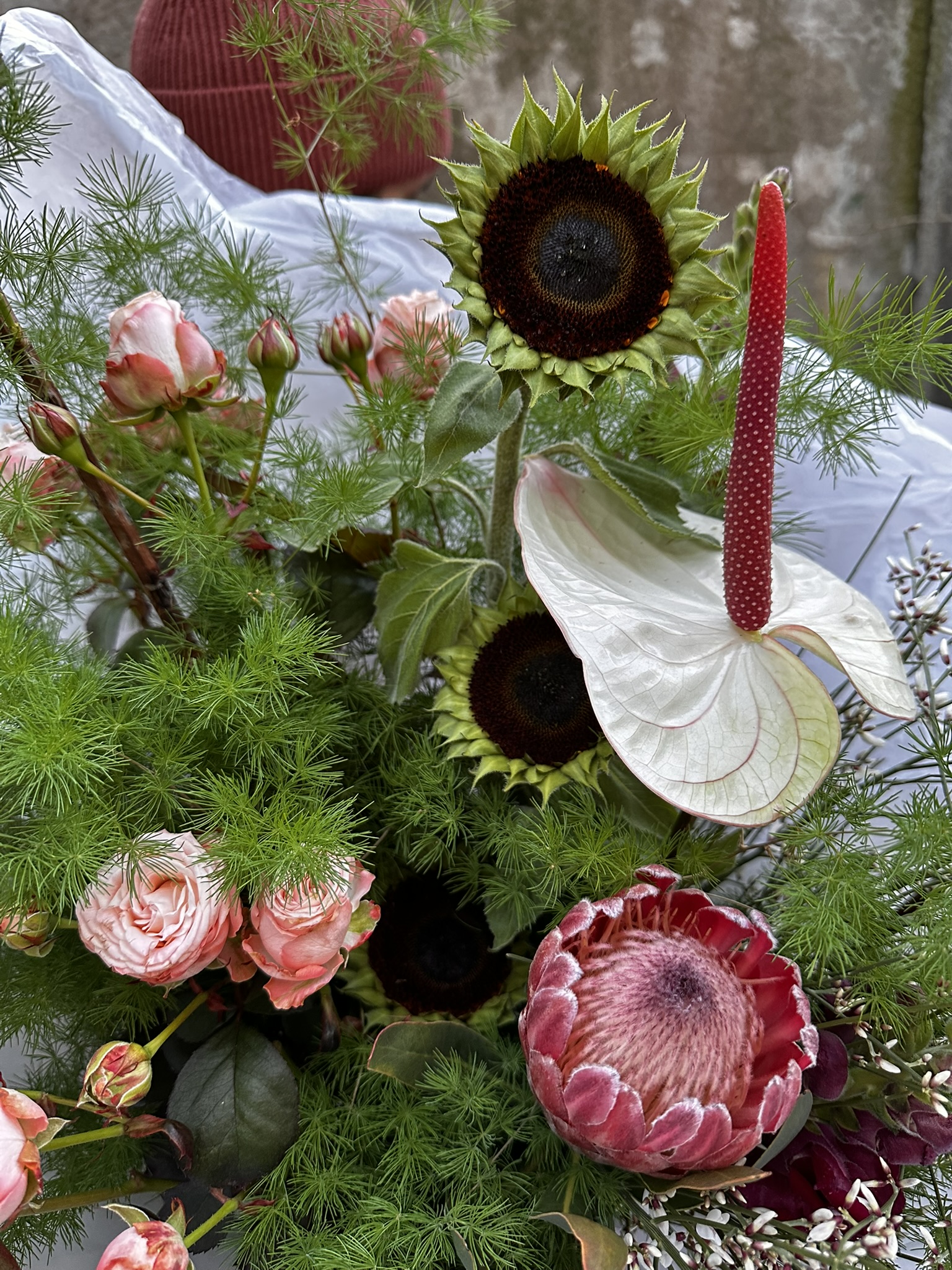 Biały Łabędź - obrazek 4