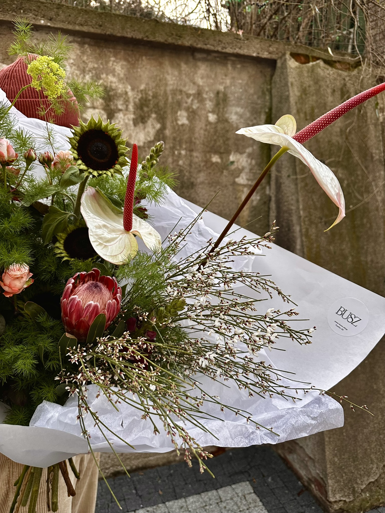 Biały Łabędź - obrazek 3