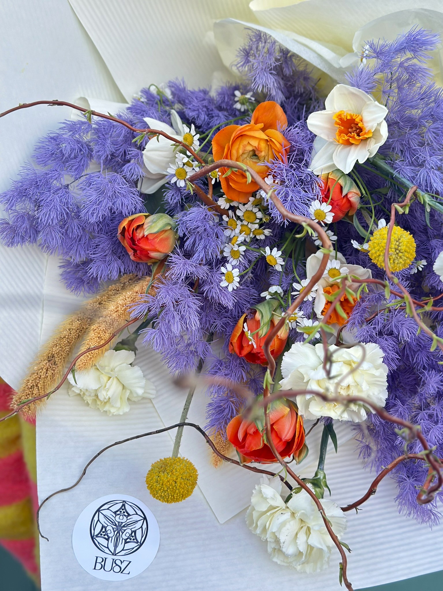 Lilowy Zając - obrazek 3