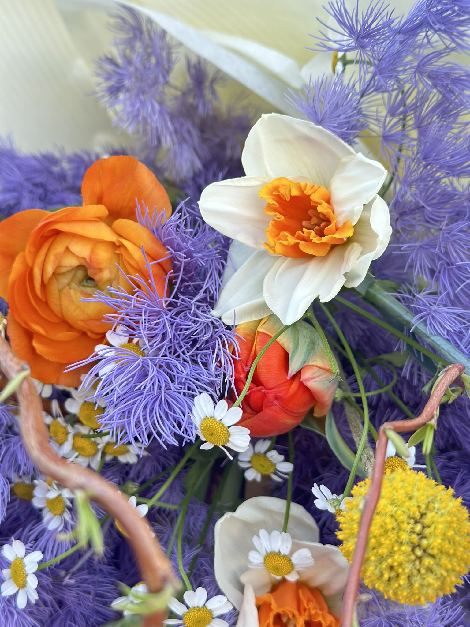 Lilowy Zając - obrazek 5