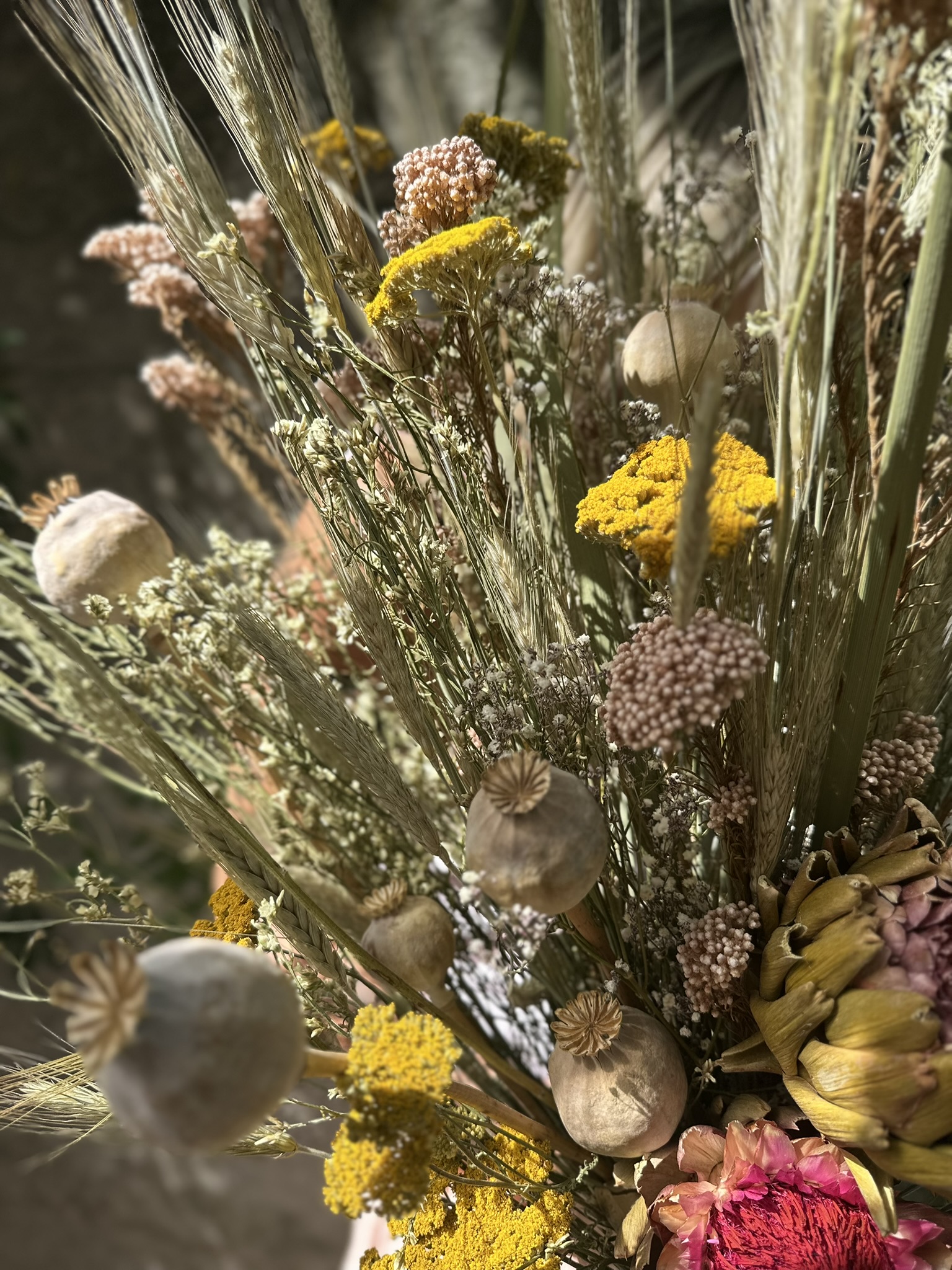 Późne Lato - obrazek 6